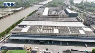 surface protection film